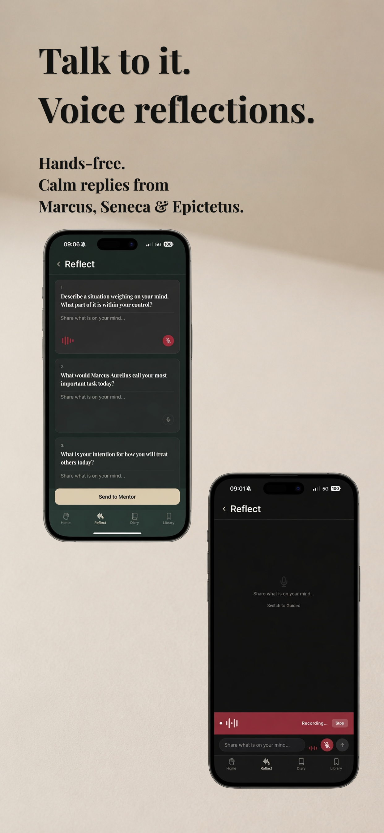 Stoara — Talk to it. Voice reflections.